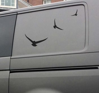 Birds!