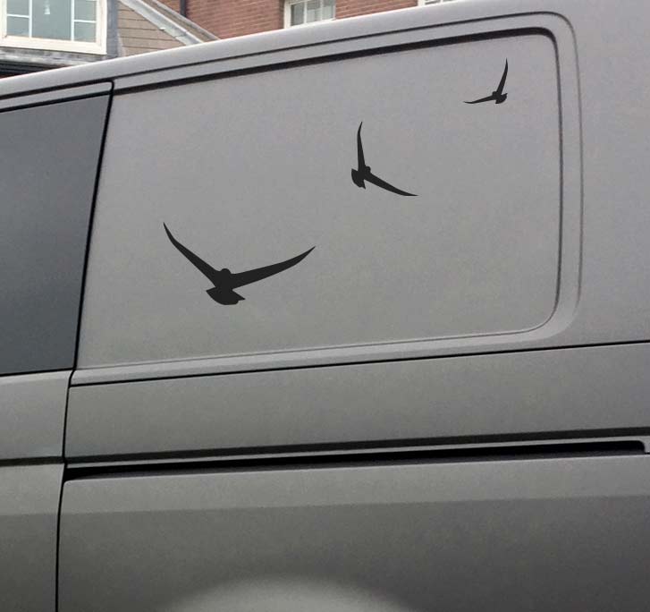 Bird decal discount