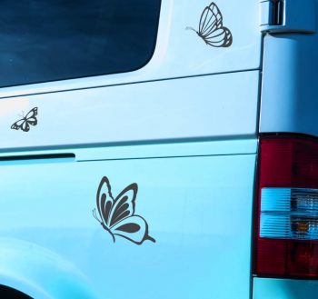 Butterflies