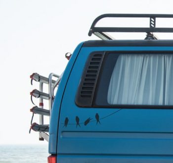 Birds on a Line!