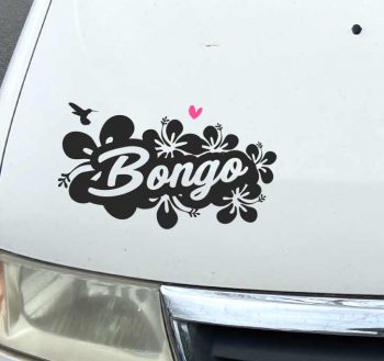 Bongo Hibiscus!