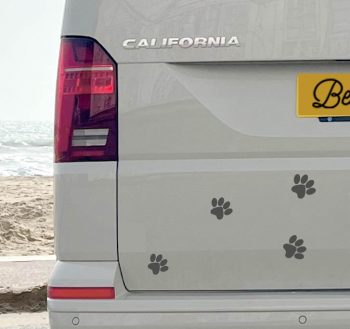 Doggie Paws!
