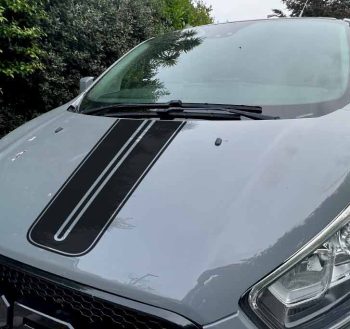 Viper Stripe!