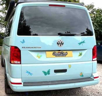 Butterfly & Dragonfly