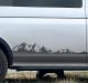 mountain_alpine_tree_decal_graphic_sticker._camper4