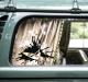kayak_decal_sticker_vinyl_graphic_6