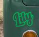 funky-text-cusom-camper-name-decal