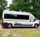 ducato-bear-mountain-side-decal-graphic-sticker