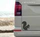 squirell-for-camper-van-stick-decal-grapihic