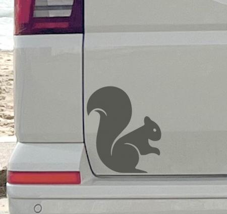 squirell-for-camper-van-stick-decal-grapihic-3