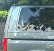 transporter-decal-with-compass-rock-mountain-range-