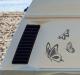 butterfly_sticker_decals